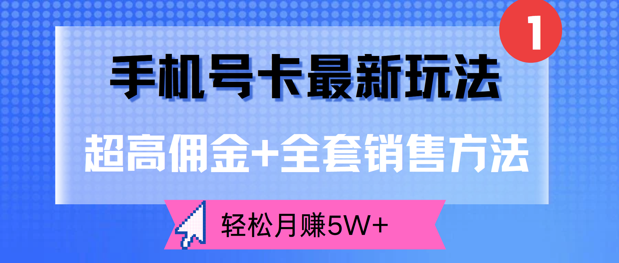 超高佣金+全套销售方法，手机号卡最新玩法，轻松月赚5W+-枫叶微课堂