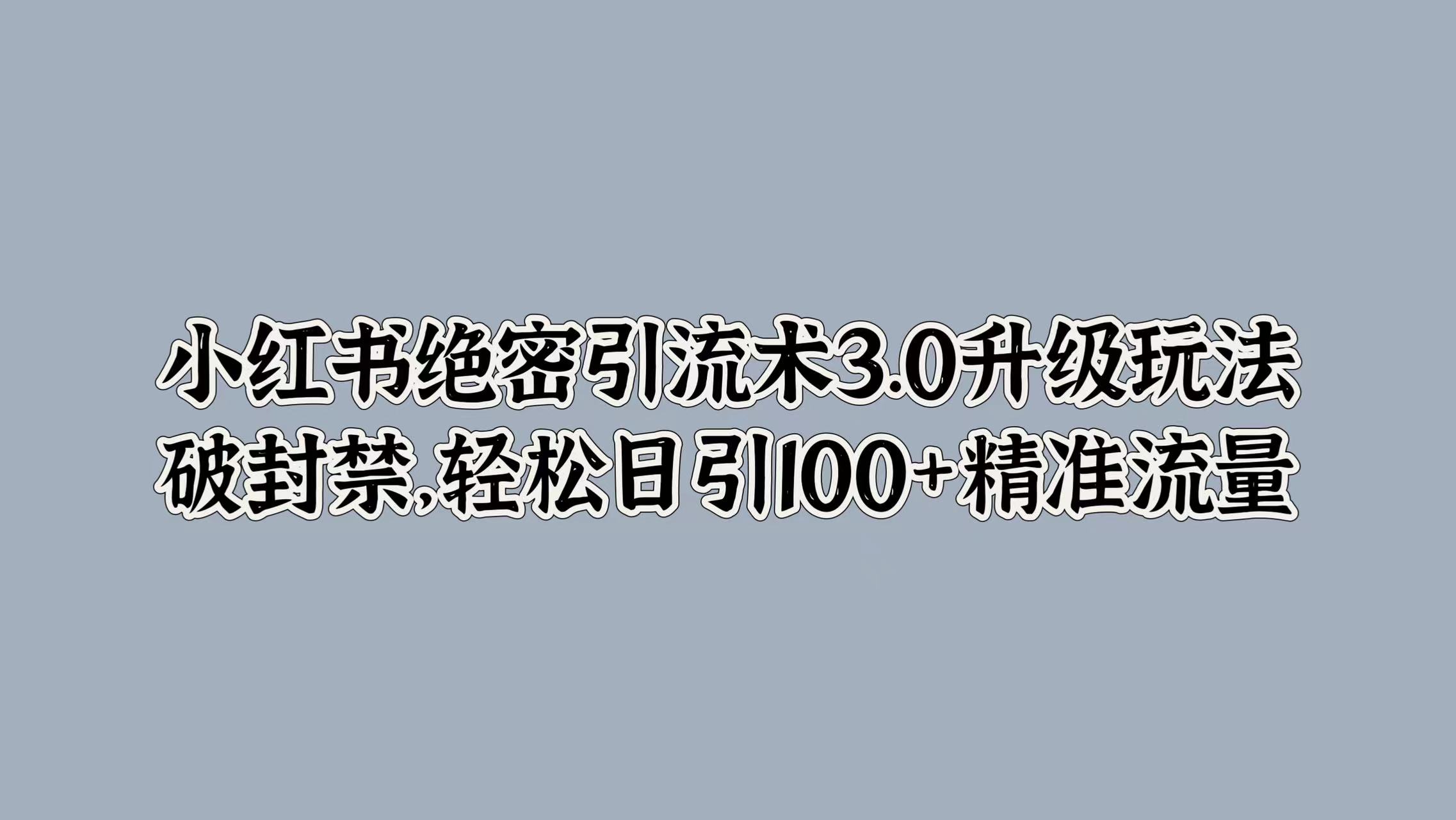 小红书绝密引流术3.0升级玩法，破封禁，轻松日引100+精准流量-枫叶微课堂