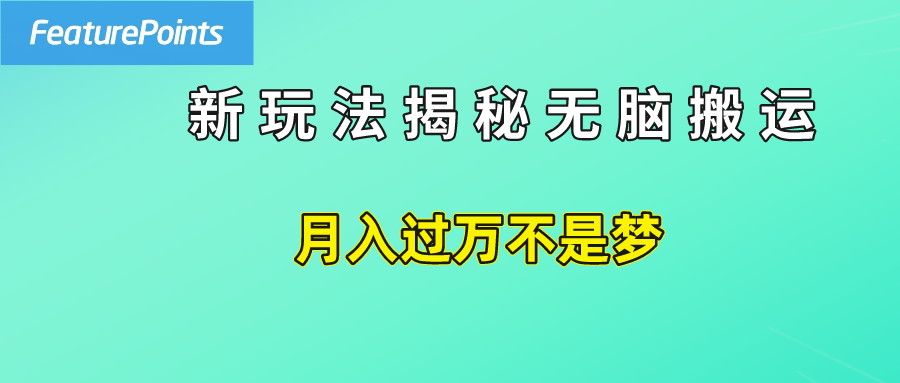 简单操作，每天50美元收入，搬运就是赚钱的秘诀！-枫叶微课堂