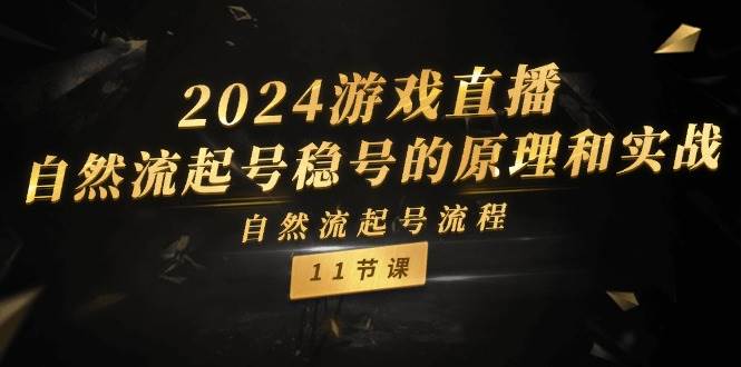 2024游戏直播-自然流起号稳号的原理和实战，自然流起号流程（11节）-枫叶微课堂