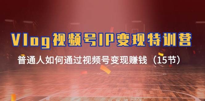 Vlog 视频号IP变现特训营，普通人如何通过视频号变现赚钱（15节）-枫叶微课堂