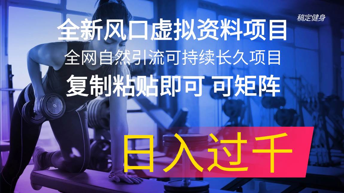 全新风口虚拟资料项目 全网自然引流可持续长久项目 复制粘贴即可可矩阵…-枫叶微课堂