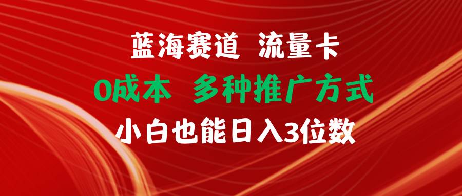 蓝海赛道 流量卡 0成本 小白也能日入三位数-枫叶微课堂
