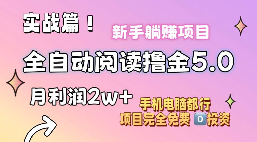 小说全自动阅读撸金5.0 操作简单 可批量操作 零门槛！小白无脑上手月入2w+-枫叶微课堂