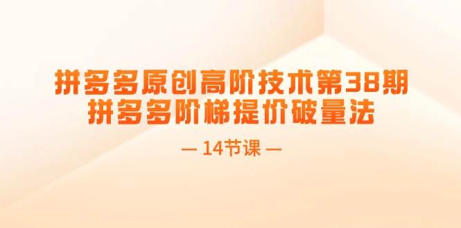 拼多多原创高阶技术第38期，拼多多阶梯提价破量法（14节课）-枫叶微课堂