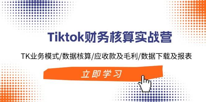 Tiktok财务核算实战营：TK业务模式/数据核算/应收款及毛利/数据下载及报表-枫叶微课堂