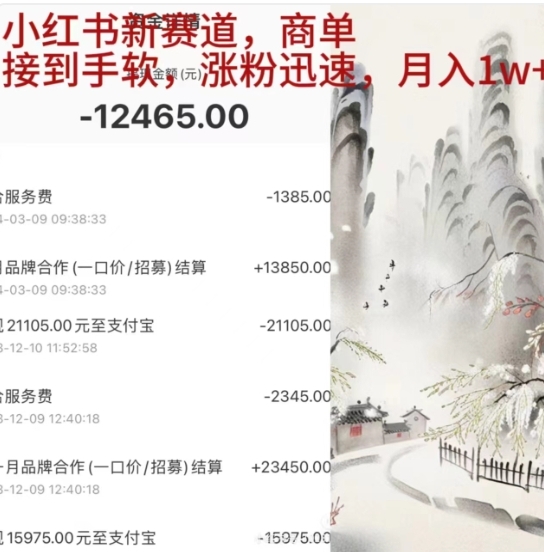 小红书新赛道，商单接到手软，涨粉迅速，一个月1w+-枫叶微课堂