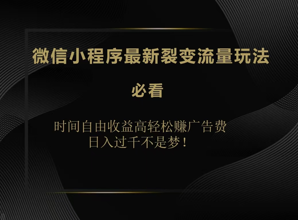 微信小程序最新裂变流量玩法，时间自由收益高轻松赚广告费，日入200-500+-枫叶微课堂