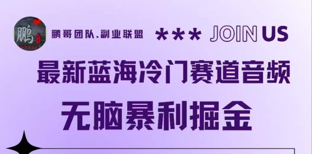 最新蓝海冷门赛道音频，无脑暴利掘金-枫叶微课堂