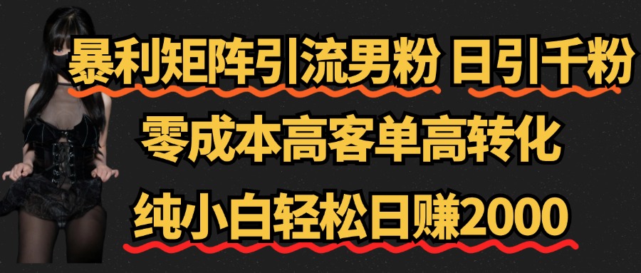 暴利矩阵引流男粉（日引千粉），零成本高客单高转化，纯小白轻松日赚2000+-枫叶微课堂
