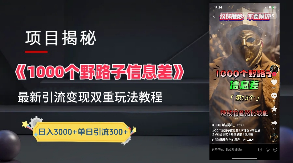 最新一千个野路子信息差玩法教程如何变现＋引流的玩法具体拆解！！！-枫叶微课堂