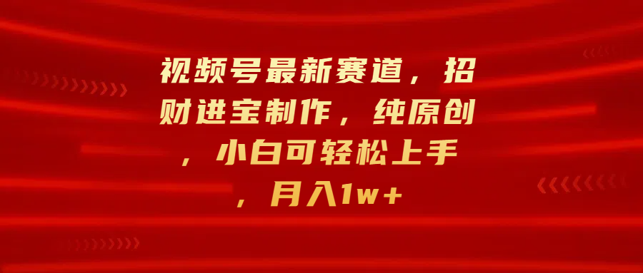 视频号最新赛道，招财进宝制作，纯原创，小白可轻松上手，月入1w+-枫叶微课堂