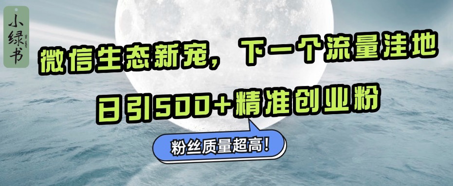 微信生态新宠小绿书：下一个流量洼地，粉丝质量超高，日引500+精准创业粉，-枫叶微课堂