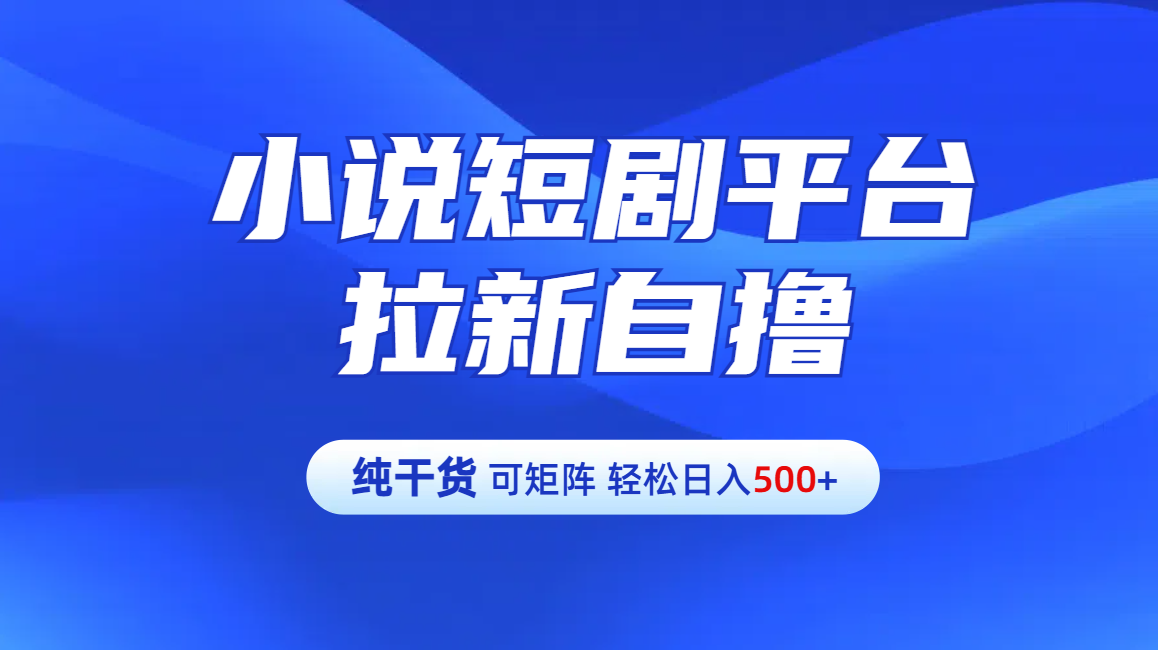 【纯干货】小说短剧平台拉新自撸玩法详解-单人轻松日入500+-枫叶微课堂