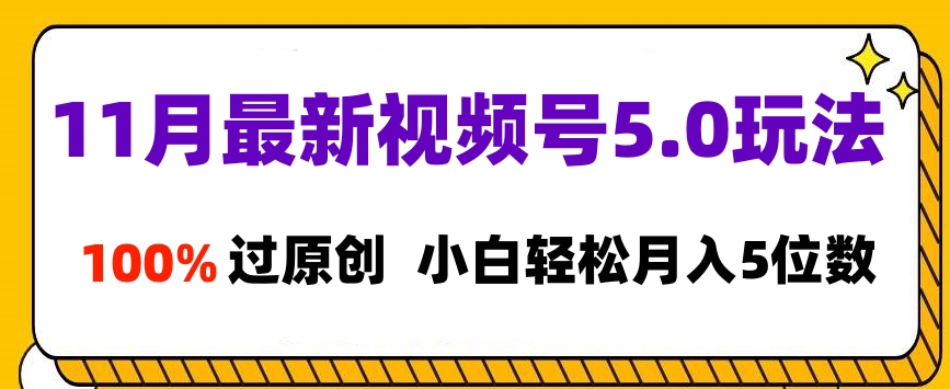 11月最新视频号5.0玩法，100%过原创，小白轻松月入5位数-枫叶微课堂