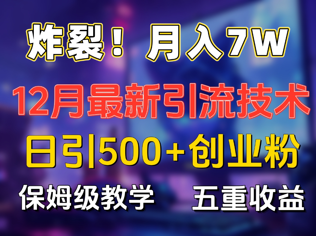 炸裂！月入7W+揭秘12月最新日引流500+精准创业粉，多重收益保姆级教学-枫叶微课堂