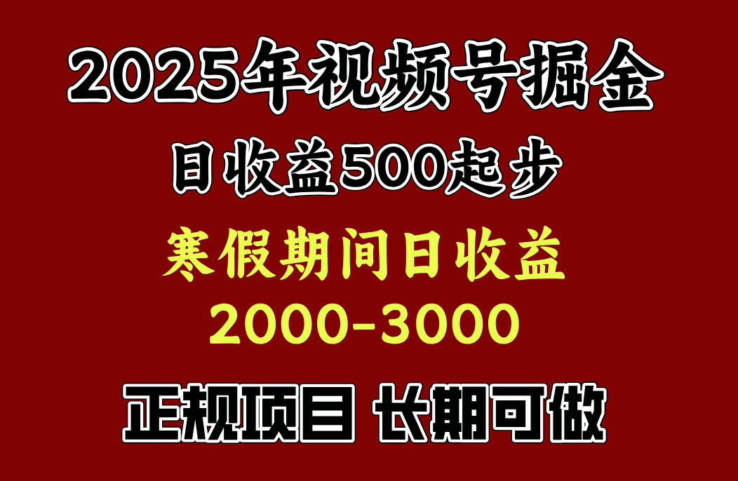最新视频号项目，单账号日收益500起步，寒假期间日收益2000-3000左右，-枫叶微课堂