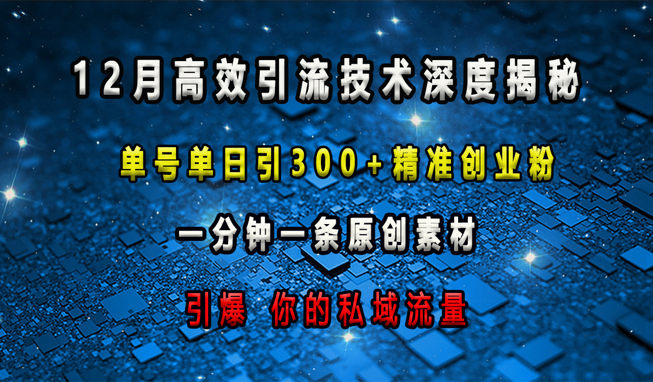 12月高效引流技术深度揭秘 ，单号单日引300+精准创业粉，一分钟一条原创素材，引爆你的私域流量-枫叶微课堂