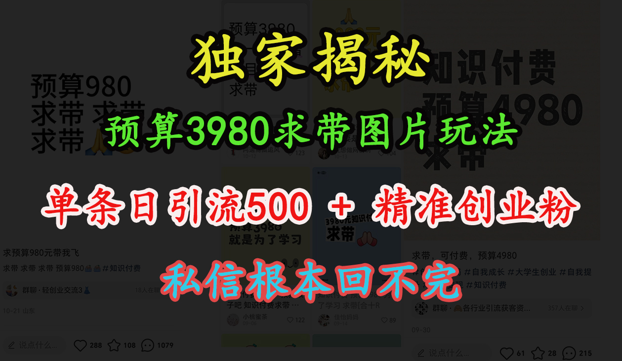 “小红书”预算3980求带 图片玩法，单条日引流500+精准创业粉，私信根本回不完-枫叶微课堂