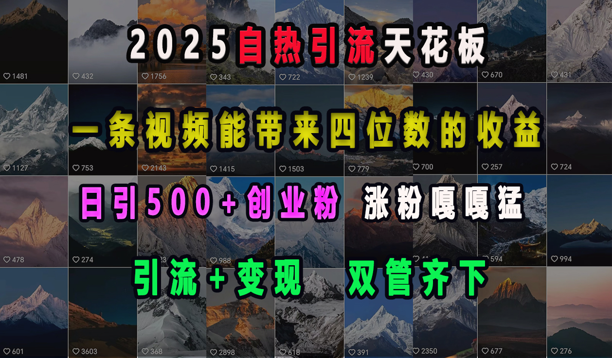 2025自热引流天花板，一条视频能带来四位数的收益，引流+变现双管齐下，日引500+创业粉，涨粉嘎嘎猛-枫叶微课堂