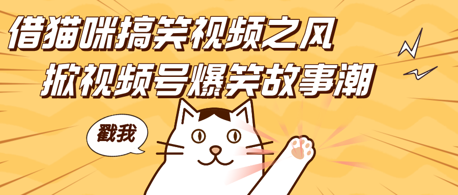 借猫咪搞笑视频之风，掀视频号爆笑故事潮，轻松日赚四位数，开启无门槛赚钱新体验！-枫叶微课堂