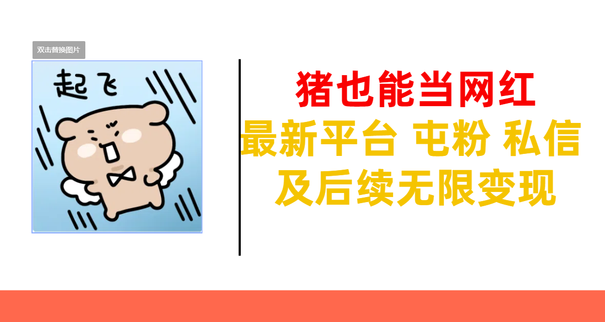 猪也能当网红-最新平台 屯粉 交流 私信 及后续无限变现-枫叶微课堂
