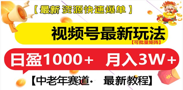 视频号独家玩法，老年养生赛道，无脑搬运爆款视频，日入1000+-枫叶微课堂
