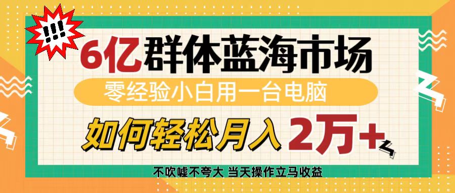 6亿群体蓝海市场，零经验小白用一台电脑，如何轻松月入2万+-枫叶微课堂