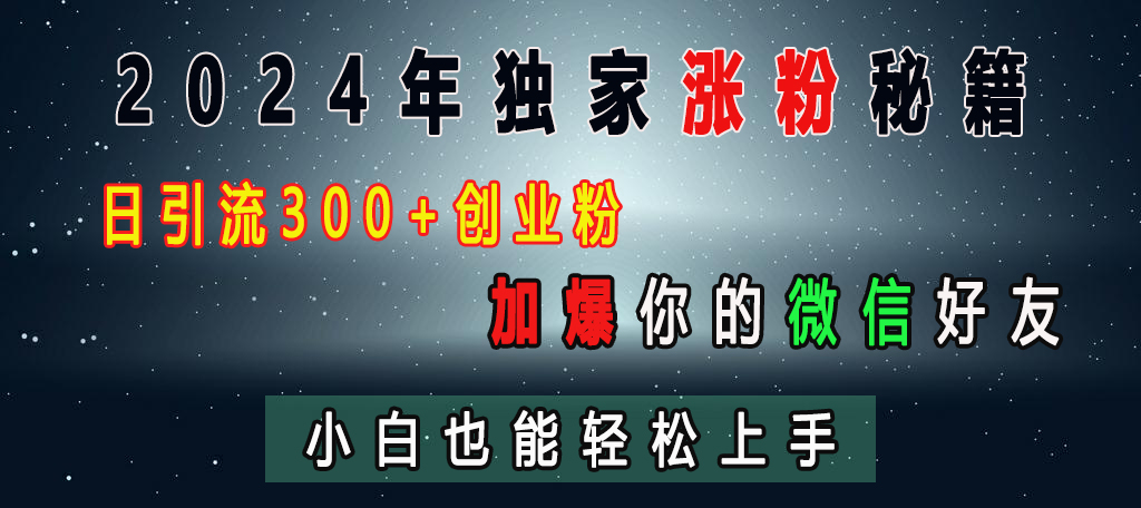 2024年独家涨粉秘籍，日引流300+创业粉，加爆你的微信好友，小白也能轻松上手-枫叶微课堂