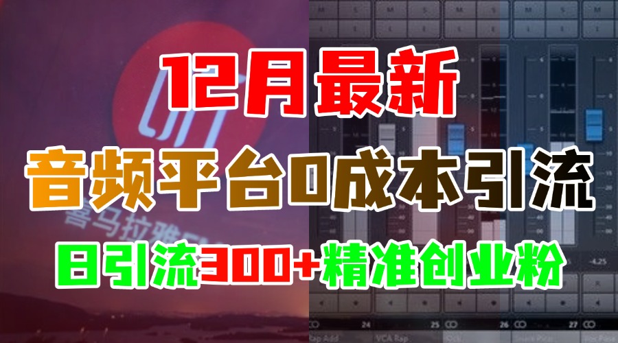 12月最新：音频平台0成本引流，日引300+精准创业粉-枫叶微课堂