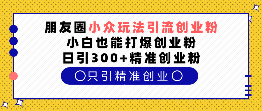 朋友圈小众玩法引流创业粉，小白也能打爆创业粉，日引300+精准创业粉-枫叶微课堂