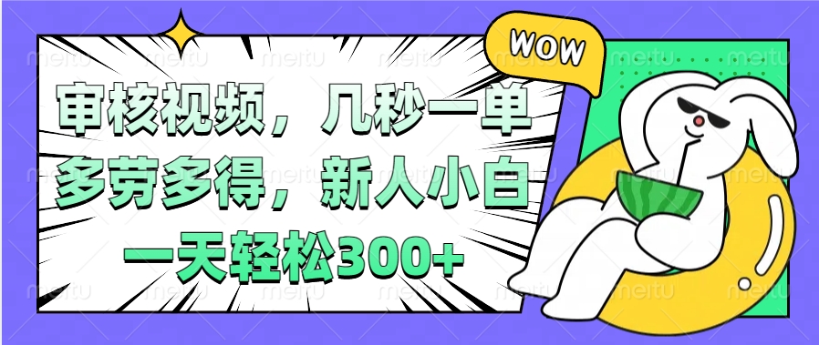 视频审核项目，几秒一单，多劳多得，新人小白一天轻松300+-枫叶微课堂