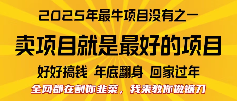全网都在割你韭菜，我来教你做镰刀。卖项目就是最好的项目，2025年最牛互联网项目-枫叶微课堂