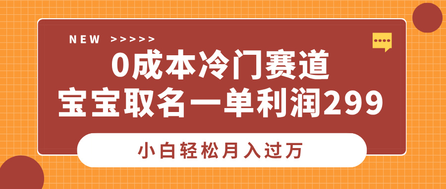 0成本冷门赛道，宝宝取名一单利润299，小白轻松月入过万-枫叶微课堂