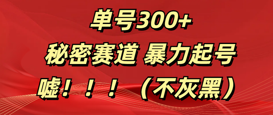 单号300+  秘密赛道 暴力起号  （不灰黑）-枫叶微课堂