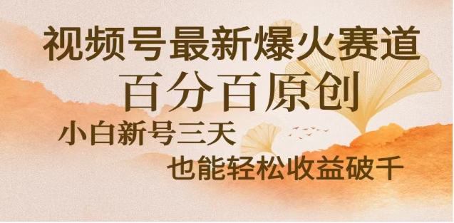 视频号独家玩法，老年养生赛道，无脑搬运爆款视频，日入2000+-枫叶微课堂