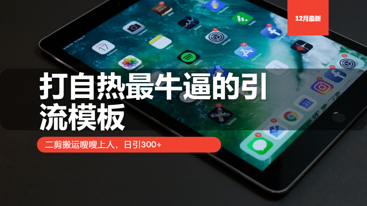 打自热最牛逼的引流模板，日引300+，二剪搬运嗖嗖上人-枫叶微课堂