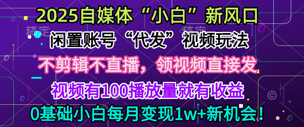 2025每月躺赚5w+新机会，闲置视频账号一键代发玩法，0粉不实名不剪辑，领了视频直接发，0基础小白也能日入300+-枫叶微课堂