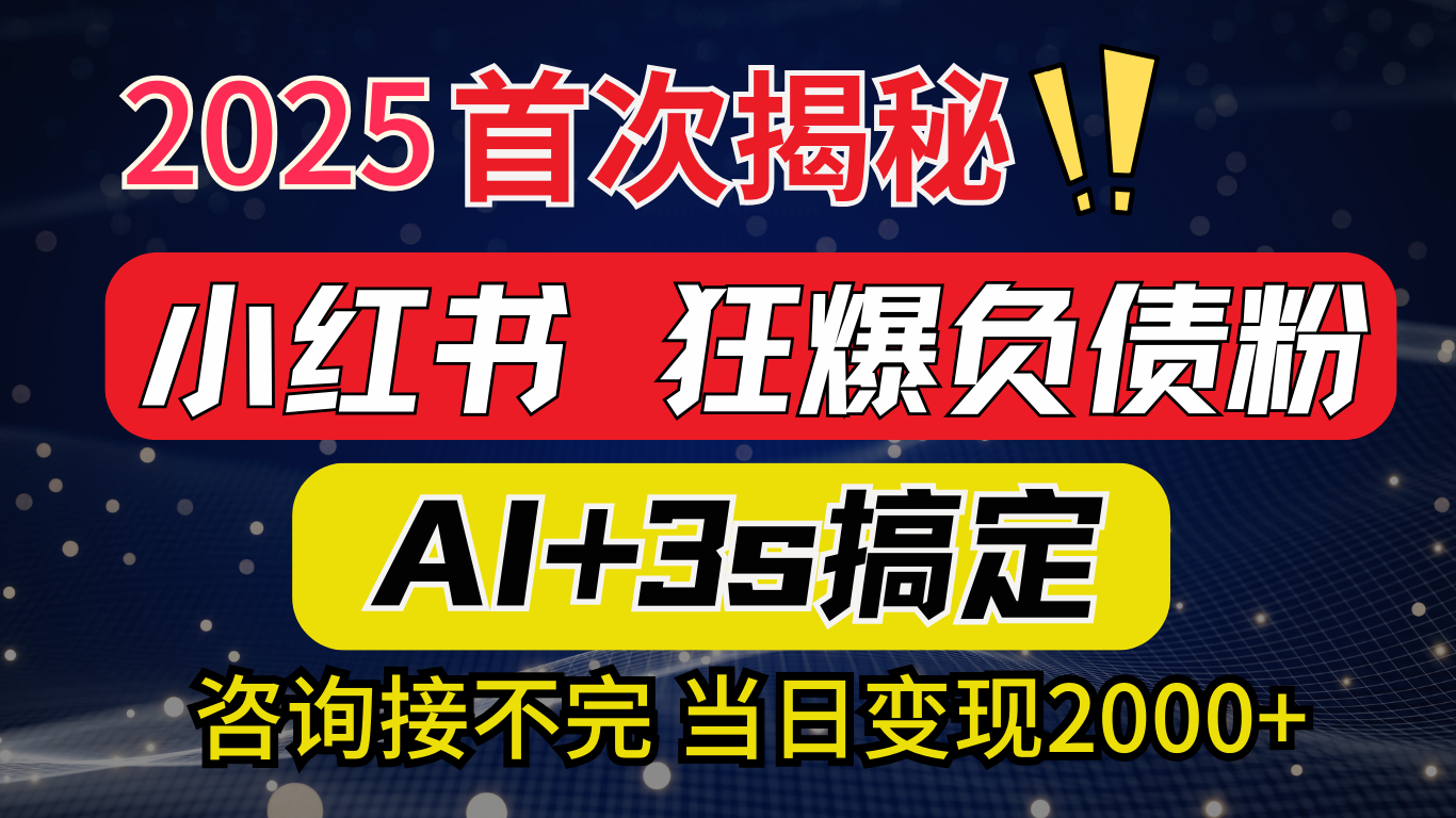 2025引流天花板：最新小红书狂暴负债粉思路，咨询接不断，当日入2000+-枫叶微课堂
