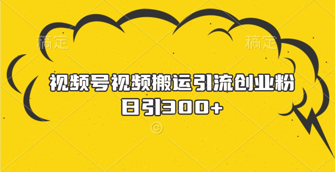 视频号视频搬运引流创业粉，日引300+-枫叶微课堂