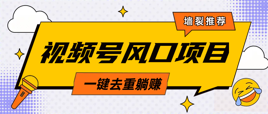 视频号风口蓝海项目，中老年人的流量密码，简单无脑，一键去重，轻松月入过万-枫叶微课堂