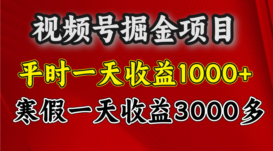 视频号掘金项目，寒假一天收益3000多-枫叶微课堂
