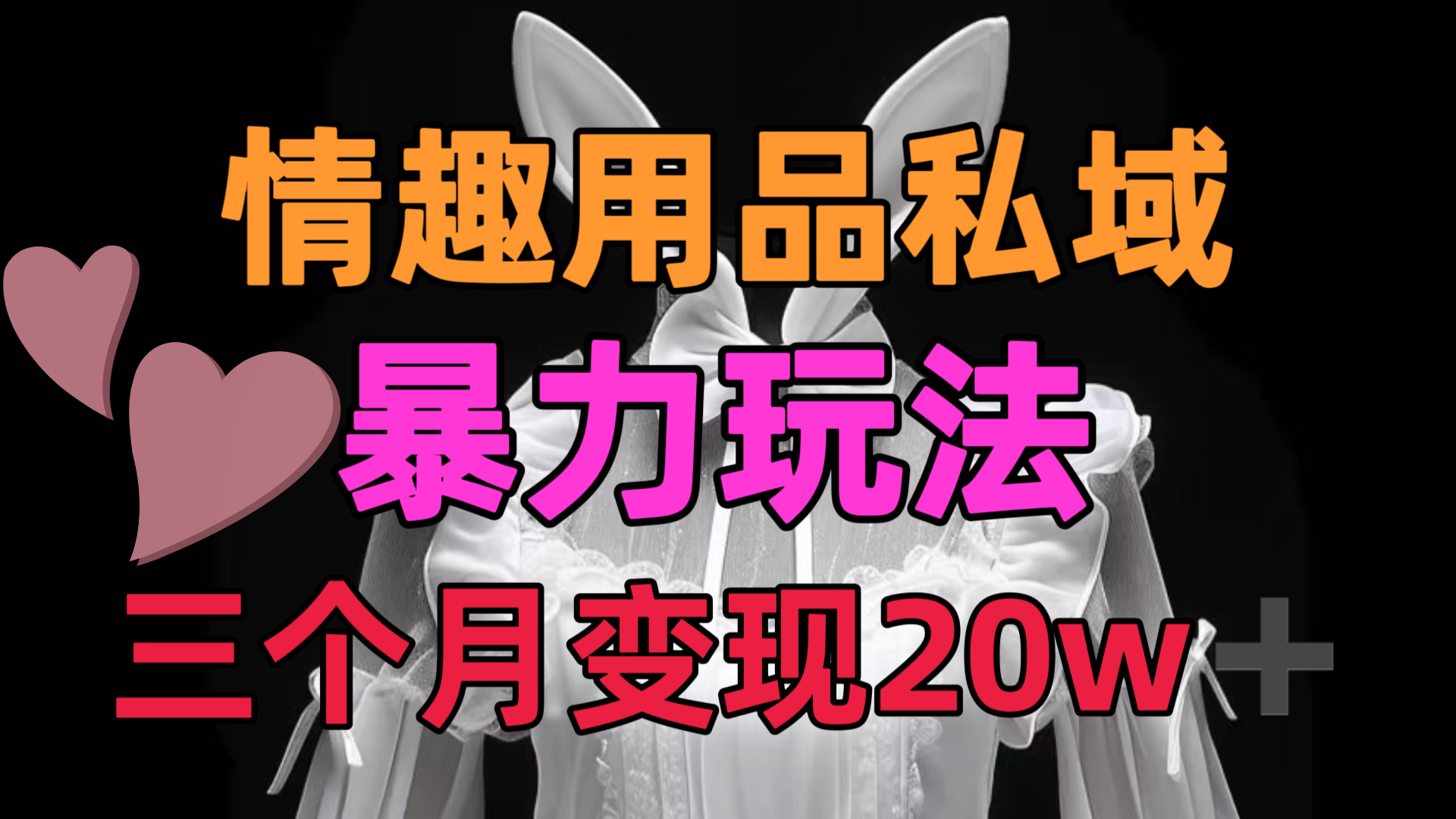 情趣用品私域，25年最新暴力玩法，三个月变现20w➕-枫叶微课堂