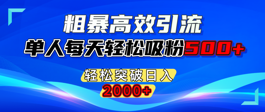 粗暴高效引流,单人每天轻松吸粉500+,轻松突破日入2000+-枫叶微课堂