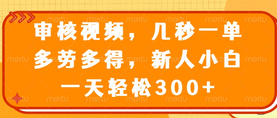 审核视频项目，几秒一单，多劳多得，新人小白一天轻松300+-枫叶微课堂