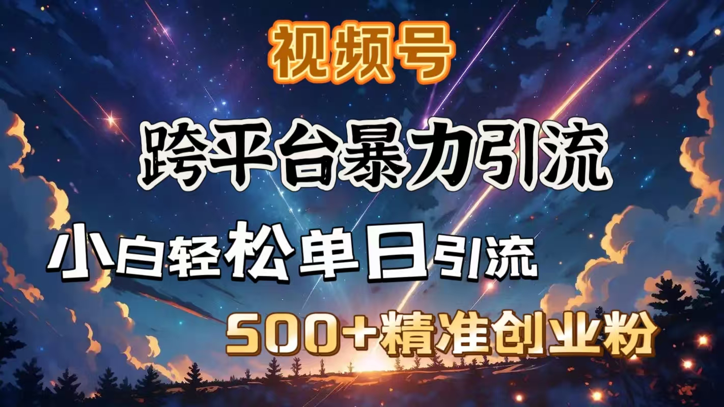 视频号跨平台暴力引流，小白轻松单日引流500＋精准创业粉-枫叶微课堂