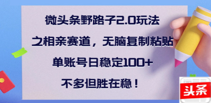 全网首发微头条野路子2.0玩法之相亲赛道，无脑搬砖复制粘贴，单账号日稳定300+保姆级教程-枫叶微课堂