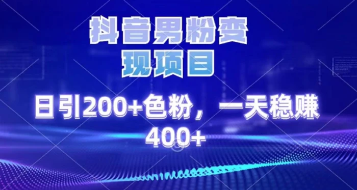 2025最新男粉项目 日引200 轻松月入2w+-枫叶微课堂