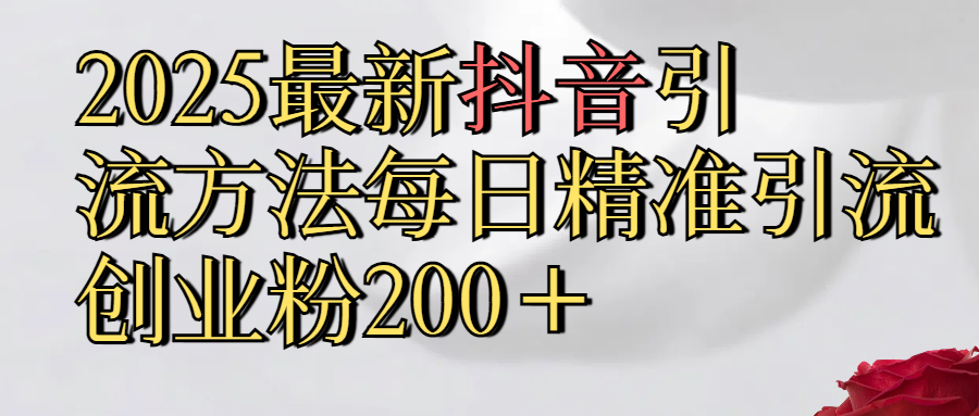 2025最新,抖音引流,方法每日精准引流创业粉300＋-枫叶微课堂