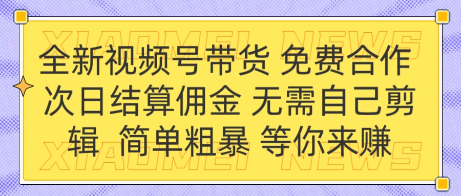 全新视频号 免费合作 佣金次日结算 无需自己剪辑-枫叶微课堂